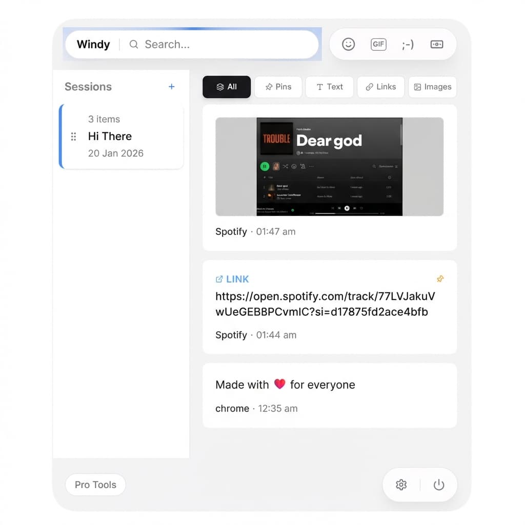 Windy App Screenshot